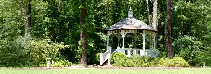 Moliver Chiropractic in Cornelius NC