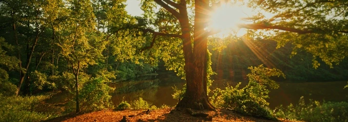 Moliver Chiropractic in Huntersville NC